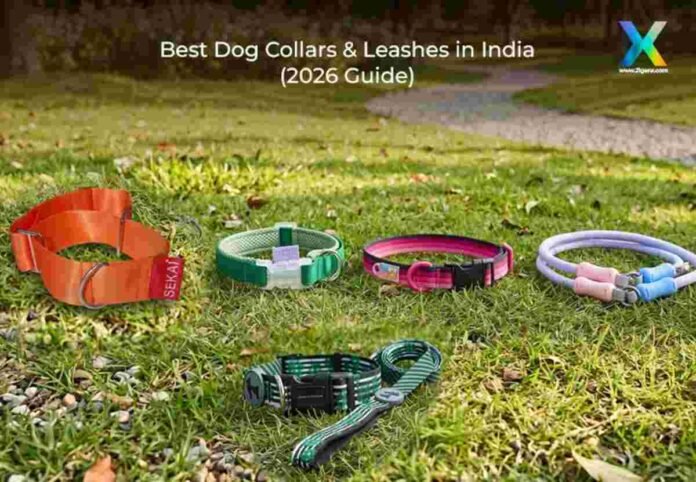 best dog collars India, dog leash India 2026, pet accessories India, premium dog collars