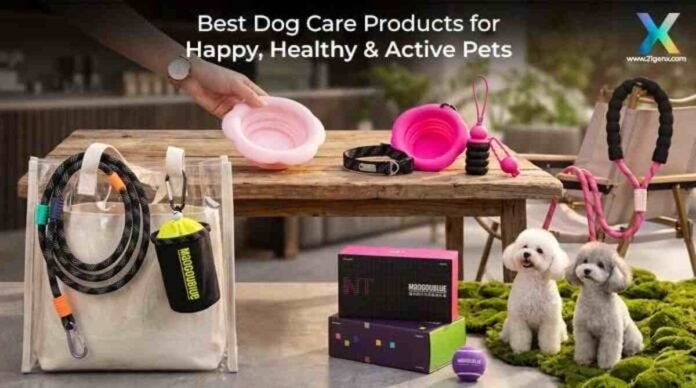 Best Dog Care Products for Happy, Healthy & Active Pets